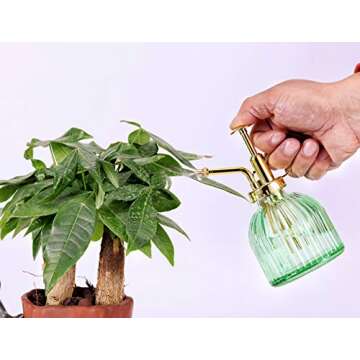 Aebor Green Glass Plant Mister with Gold Top Pump