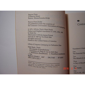 Transform Your Daily Life with Mindfulness Techniques