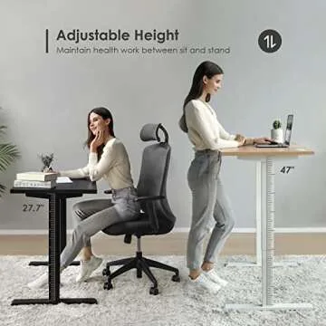 Smart Advanced Standing Desk, Easy Assembly (10 Minutes)，Dual Motor Electric Adjustable Height Desk for Home Office, 48 x 24 Inch Table，Sit to Stand Desk Laptop Computer Writing Office Desks