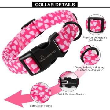 Stylish Valentine Dog Collar for All Sizes and Occasions
