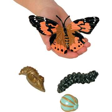 Insect Lore Butterfly Learning Toy - 4 Piece Set Shows Metamorphasis Of A Butterfly