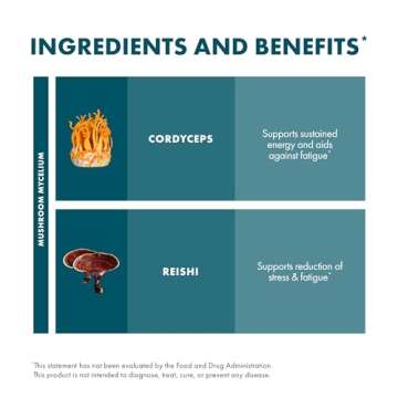 Host Defense CordyChi Powder - Energy & Immune Support Supplement - Cordyceps & Reishi Mushroom Supplement for Relaxation & Respiratory Support - Aids Against Tiredness - 3.5 oz (66 Servings)*