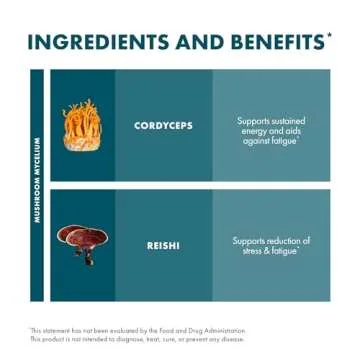 Host Defense CordyChi Powder - Energy & Immune Support Supplement - Cordyceps & Reishi Mushroom Supplement for Relaxation & Respiratory Support - Aids Against Tiredness - 3.5 oz (66 Servings)*