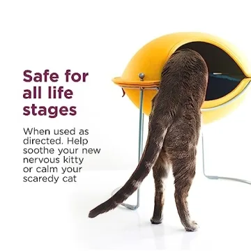 Calming Spray for Cats - Reduces Scratching & Anxiety