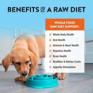 Premium Northwest Naturals Chicken & Salmon Dog Food - 12 Oz