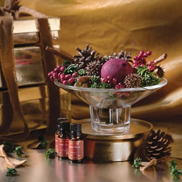 Aromatique Christmas Potpourri - Long Lasting Decor & Fragrance