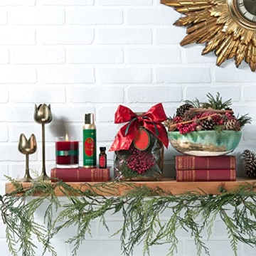 Aromatique Christmas Potpourri - Long Lasting Decor & Fragrance