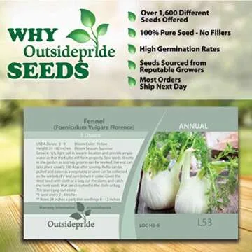 Outsidepride 1 oz. Annual Foeniculum Vulgare Fennel Herb Garden Seeds for Planting
