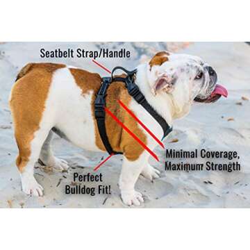 Bulldog Grade Harness for English-American-French Bulldogs - Custom Fit, No Pull, Reflective Vest Harnesses for Your Bully (Large, Bully Blue Camo)