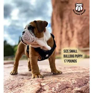 Bulldog Grade Harness for English-American-French Bulldogs - Custom Fit, No Pull, Reflective Vest Harnesses for Your Bully (Large, Bully Blue Camo)