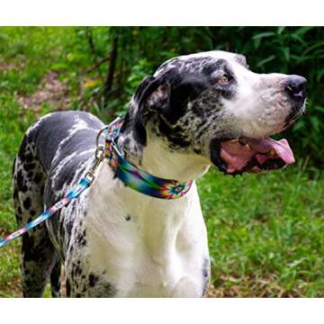 Country Brook Design - Tie Dye Flowers Martingale Dog Collar - Groovy Collection with 12 Far Out Designs (1 1/2 Inch, Medium)