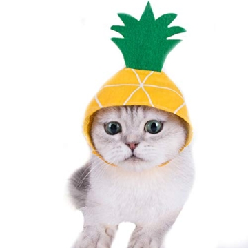 La La Pet Pet Hat Pineapple Headwear Dog Cat Breathable Cap Pet Funny Hat Cat Hooded Halloween Costu...