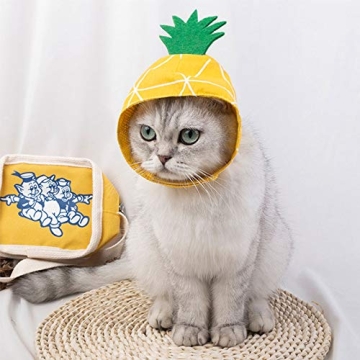 La La Pet Pineapple Headwear for Small Dogs and Cats