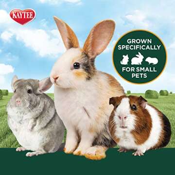 Kaytee Timothy Hay for Small Animals, 6 Pound Package