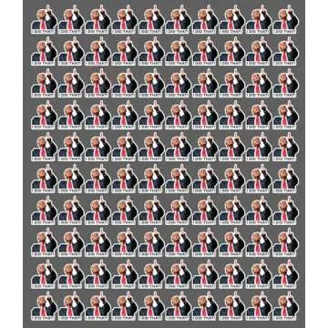 I Did That Tariff Donald Trump Meme Sticker Outdoor Waterproof Sticker Pack - 100 Die Cut Decals Political Humor