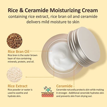 Rice Ceramide Moisturizing Cream for Hydrated, Bright Skin