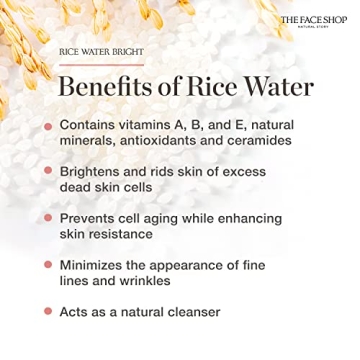 Rice Ceramide Moisturizing Cream for Hydrated, Bright Skin