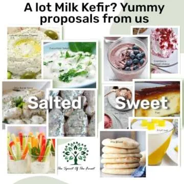 Kefir, Kefir Grains, Scoby, Milk Kefir Grains, Live Starter, Cultures, Bulgaros de Leche, Bulgarian Milk Kefir Grains, Kefir Strainer, Works w/Whole Milk, Coconut Milk, Almond Milk, Oat Milk