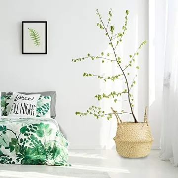 AXIESO Hand Woven Seagrass Basket for Stylish Storage