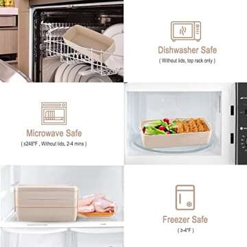 Iteryn Bento Box - 3-In-1 Compartment Lunch Container