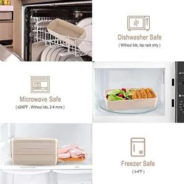 Iteryn Bento Box - 3-In-1 Compartment Lunch Container