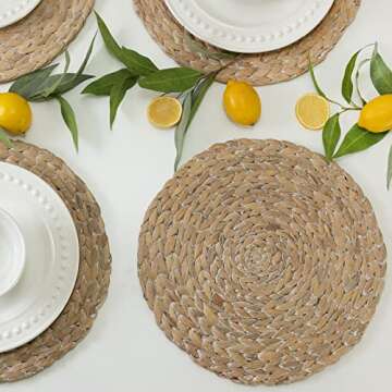 Benson Mills Water Hyacinth Braided Round Placemat Set of 4 (Whitewash, 15" Round)