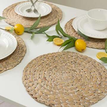 Benson Mills Water Hyacinth Braided Round Placemat Set of 4 (Whitewash, 15" Round)