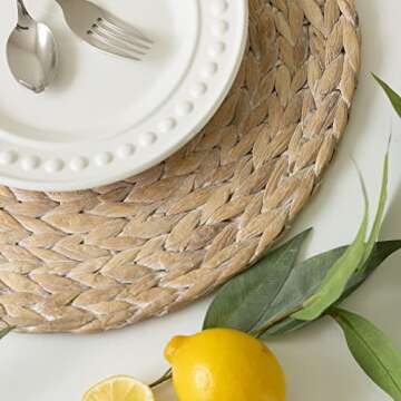 Benson Mills Water Hyacinth Braided Round Placemat Set of 4 (Whitewash, 15" Round)