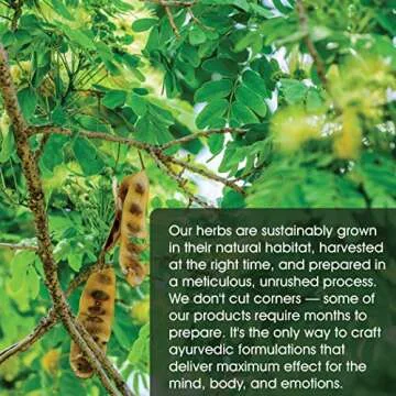 Maharishi Ayurveda - Clear Breathe Respiratory Management Herbal Steaming Oil | Natural Inhalant with Eucalyptus Fennel & Clove | Soothe Your Respiratory Tract & Breathe Easy (1oz - 30ml)