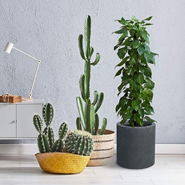 Kante Modern Round Concrete Planter Set for Indoor Outdoor