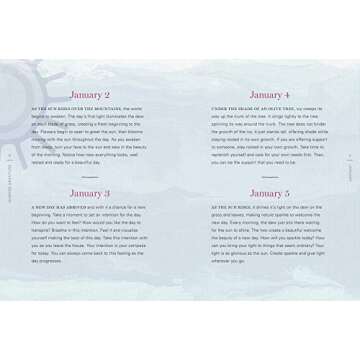 Sunrise Gratitude: 365 Morning Meditations for Joyful Days All Year Long (Volume 2) (Daily Gratitude, 2)