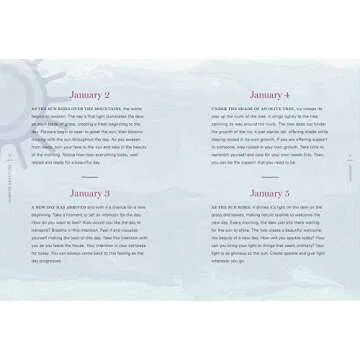 Sunrise Gratitude: 365 Morning Meditations for Joyful Days All Year Long (Volume 2) (Daily Gratitude, 2)