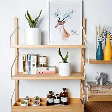 Greenaholics Plant Pots White Ceramic Pots for Plant 6+4.7Inch Matte White Cylinder Planters for Indoor Ourdoor Flower Snake Small Plants with Drainage Holes Set of 2