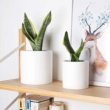 Greenaholics Plant Pots White Ceramic Pots for Plant 6+4.7Inch Matte White Cylinder Planters for Indoor Ourdoor Flower Snake Small Plants with Drainage Holes Set of 2
