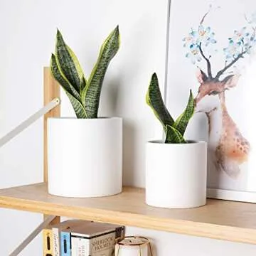 Greenaholics Plant Pots White Ceramic Pots for Plant 6+4.7Inch Matte White Cylinder Planters for Indoor Ourdoor Flower Snake Small Plants with Drainage Holes Set of 2