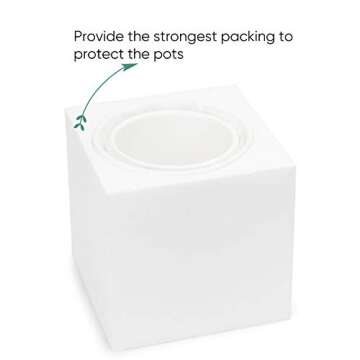 Greenaholics Plant Pots White Ceramic Pots for Plant 6+4.7Inch Matte White Cylinder Planters for Indoor Ourdoor Flower Snake Small Plants with Drainage Holes Set of 2
