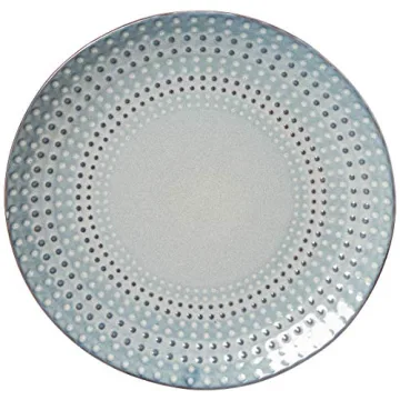 Stylish Gourmet Basics Blue Dinnerware Set for All