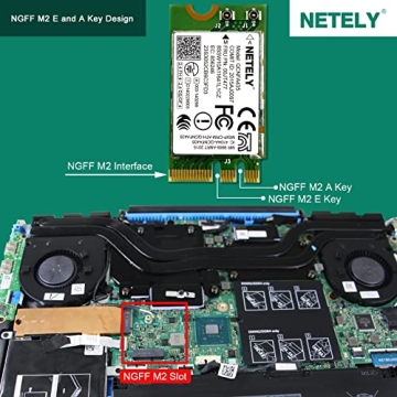 NETELY QCNFA435 WiFi 5 Adapter for Laptop PCs - 600Mbps Speed