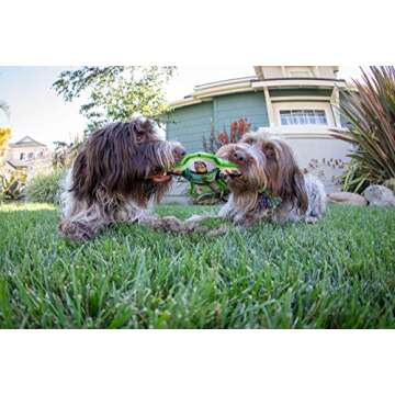 Hyper Pet Disney Toy Story 4 Flippy Flopper Dog Frisbee Interactive Dog Toys [Flying Disc Dog Fetch Toy - Floats in Water & Safe on Teeth] (Buzz Lightyear)