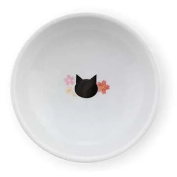 Necoichi Raised Cat Bowl - Stylish Stress-Free Pet Eating