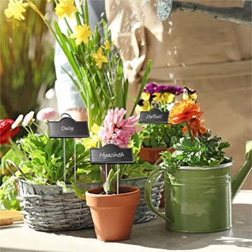 Weatherproof Stainless Steel Plant Markers 25 Pack for Gardens