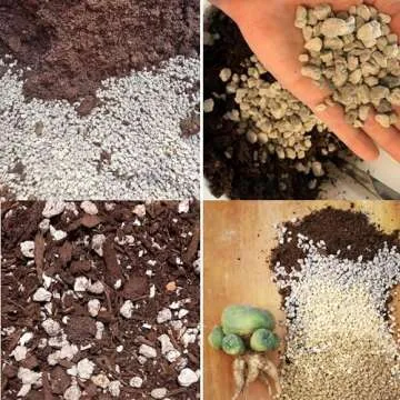 Organic Pumice for Bonsai and Horticultural 100% Natural (1 gallons, 3/8 inch)