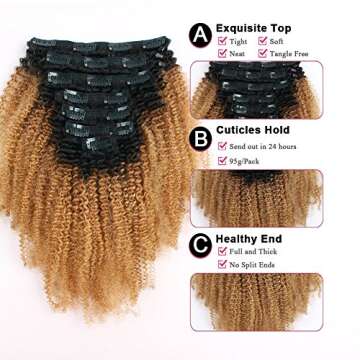 Sassina Two Tone Afro Curly Human Hair Clip-in Extensions For Black Women Ombre Natural Black Fading...