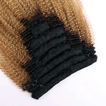 Sassina Two Tone Afro Curly Human Hair Clip-in Extensions For Black Women Ombre Natural Black Fading to Strawberry Blonde 120 Grams 7 Pieces Per Bundle With 17 Clips AC TN27 20 Inch