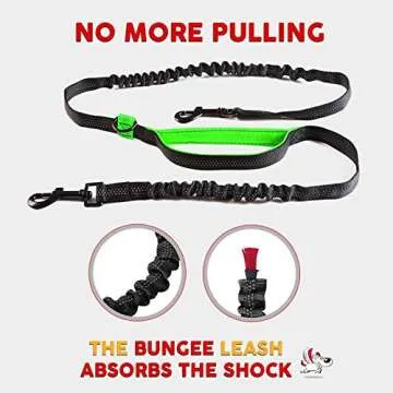 Exquisite Double Hands Free Leash - Retractable for Two Large Dogs - Waist Leash for Running - Black & Green