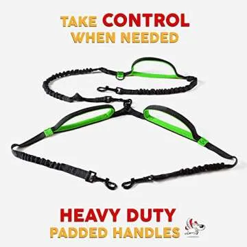 Exquisite Double Hands Free Leash - Retractable for Two Large Dogs - Waist Leash for Running - Black & Green