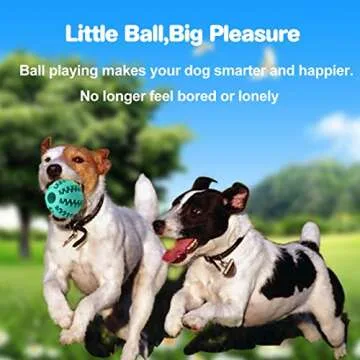 Durable Idepet Dog Toy Ball for Fun & Dental Care