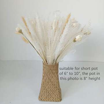 GHY Decor Dried Flowers Bouquet Dried Pampas Grass Bouquet White Flower Arrangements Home Decor