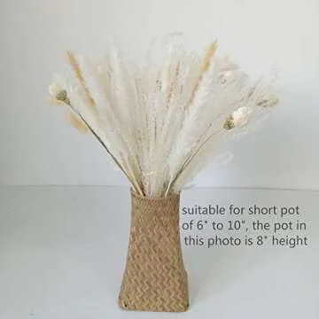 GHY Decor Exquisite Dried Pampas Grass Bouquet for Home Decor and Weddings