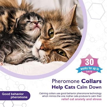 Calming Collar for Cats - Anxiety Relief Pheromone Collars